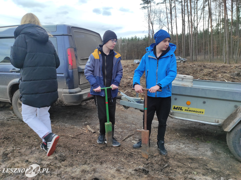 Wiosenne sadzenie lasu