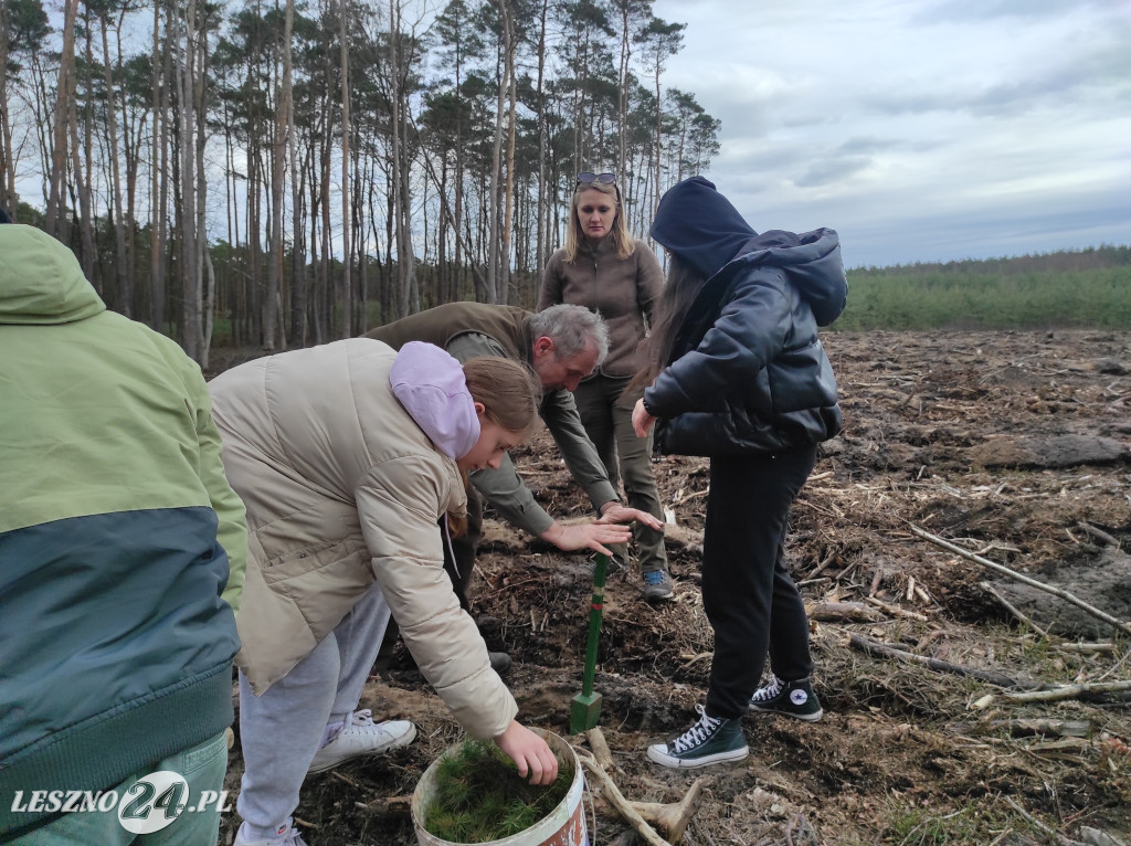 Wiosenne sadzenie lasu