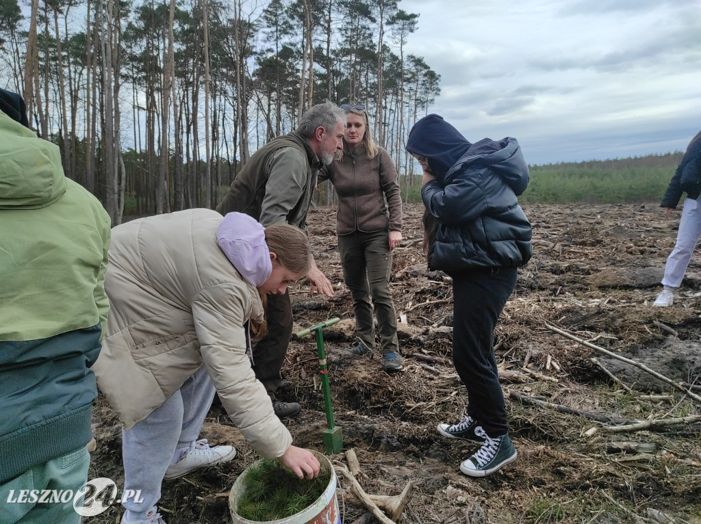 Wiosenne sadzenie lasu