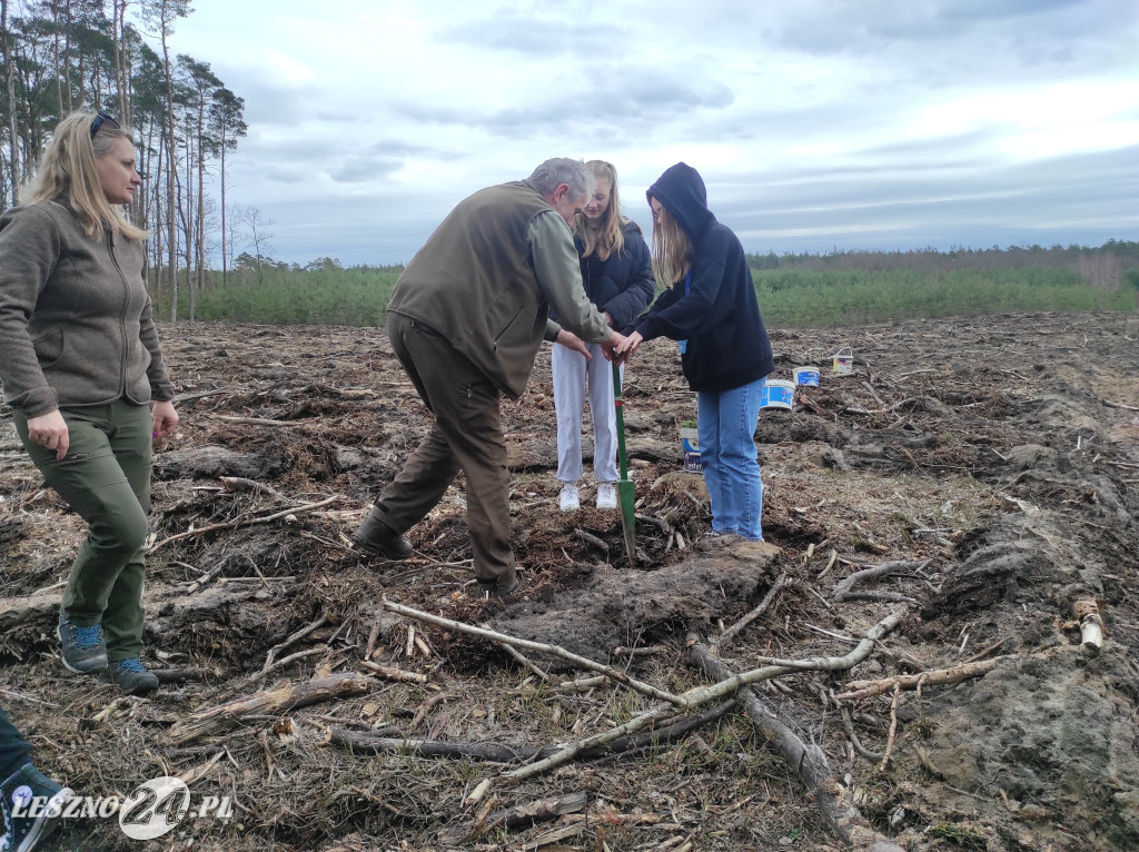Wiosenne sadzenie lasu