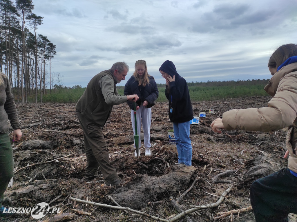 Wiosenne sadzenie lasu