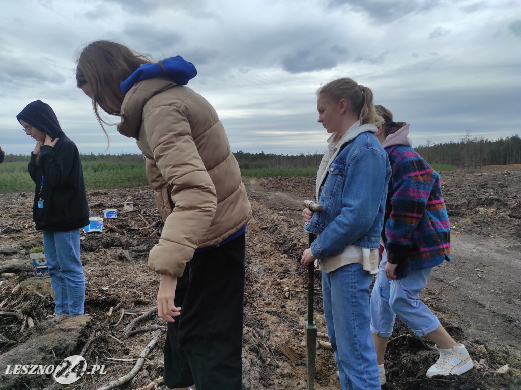 Wiosenne sadzenie lasu