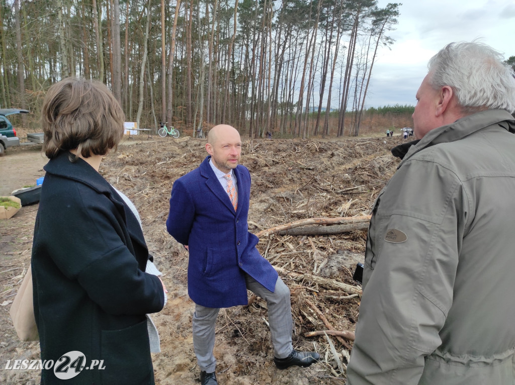 Wiosenne sadzenie lasu