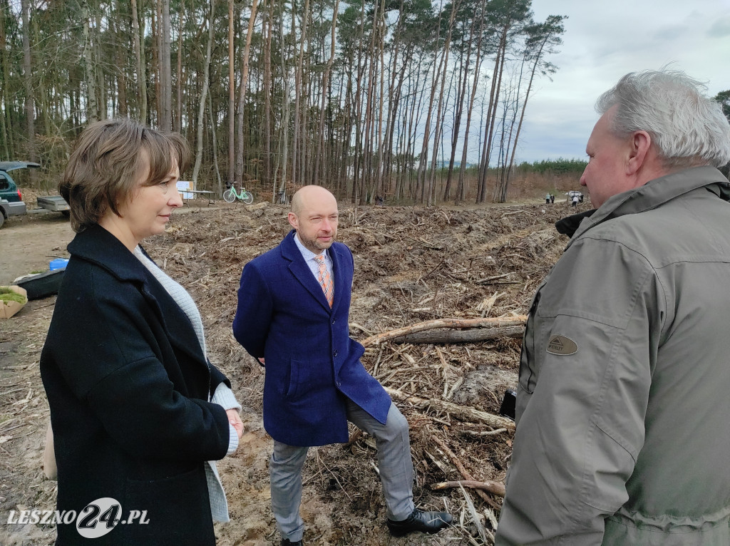 Wiosenne sadzenie lasu