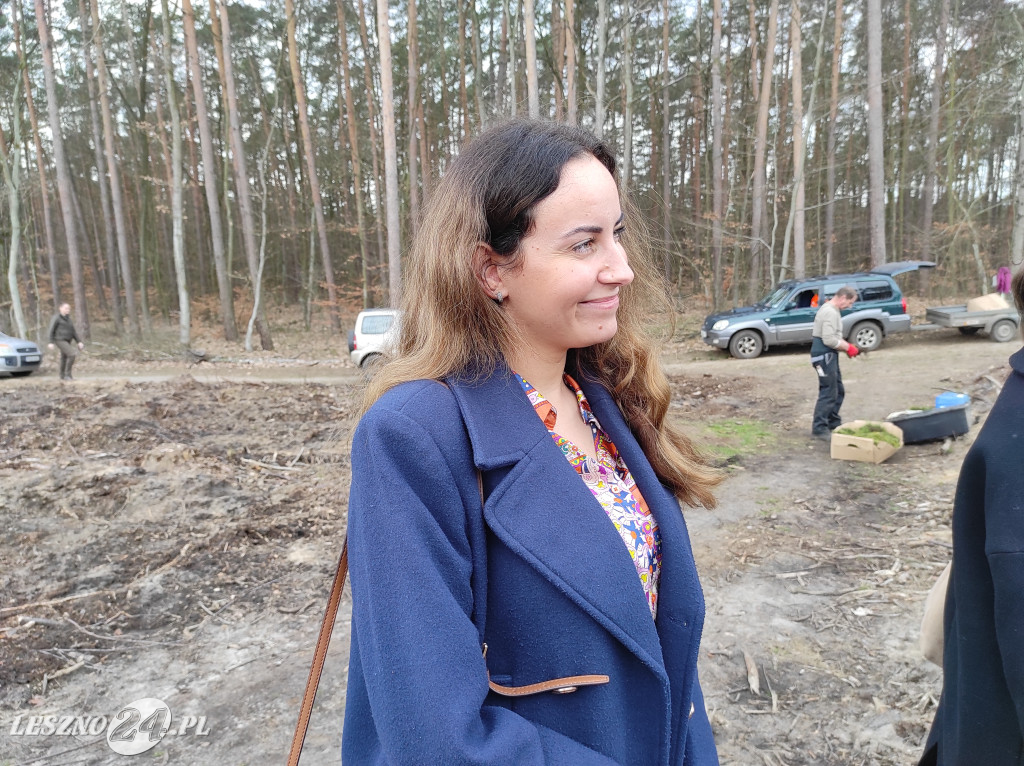 Wiosenne sadzenie lasu