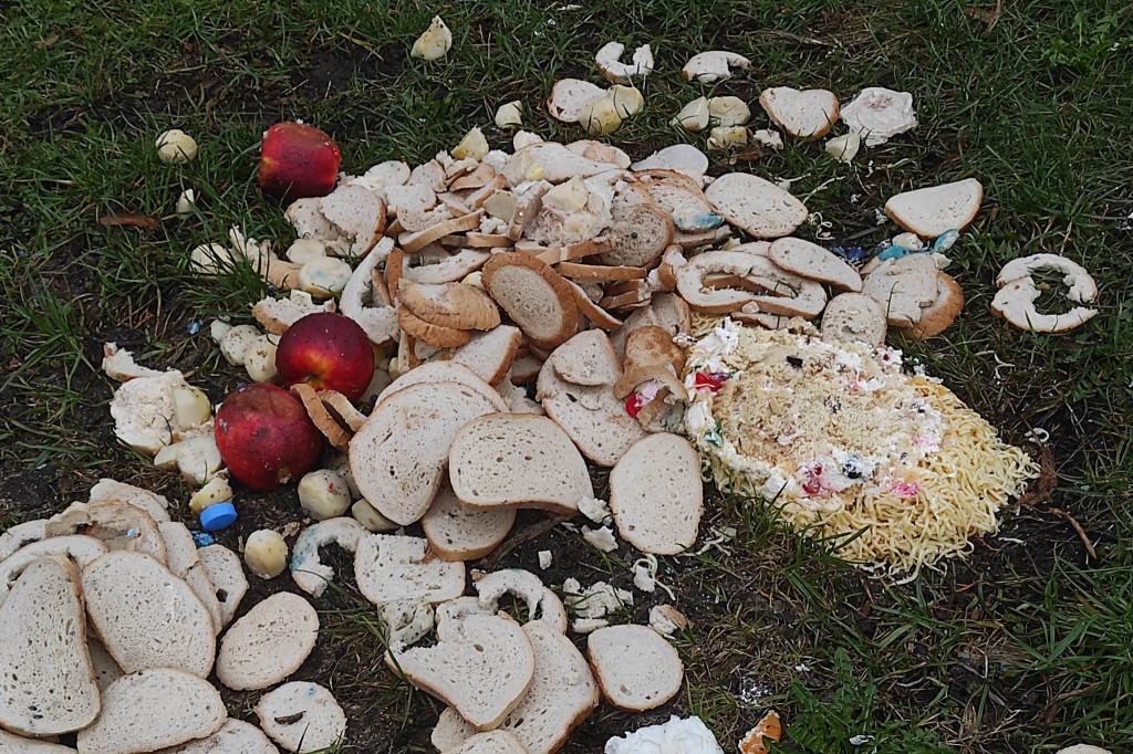 Ktoś wyrzucił resztki jedzenia