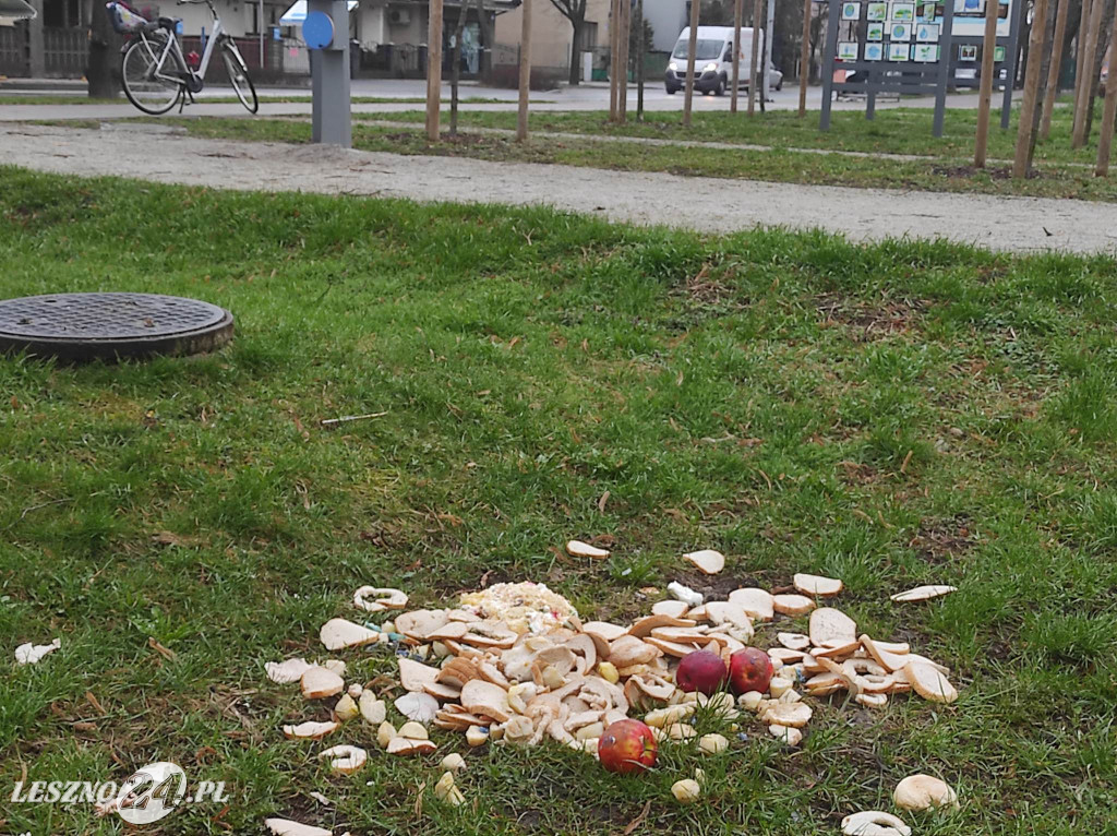 Ktoś wyrzucił resztki jedzenia
