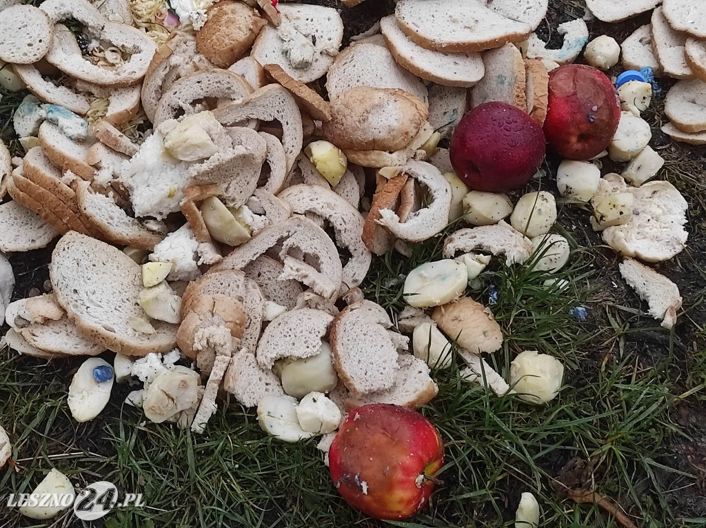 Ktoś wyrzucił resztki jedzenia