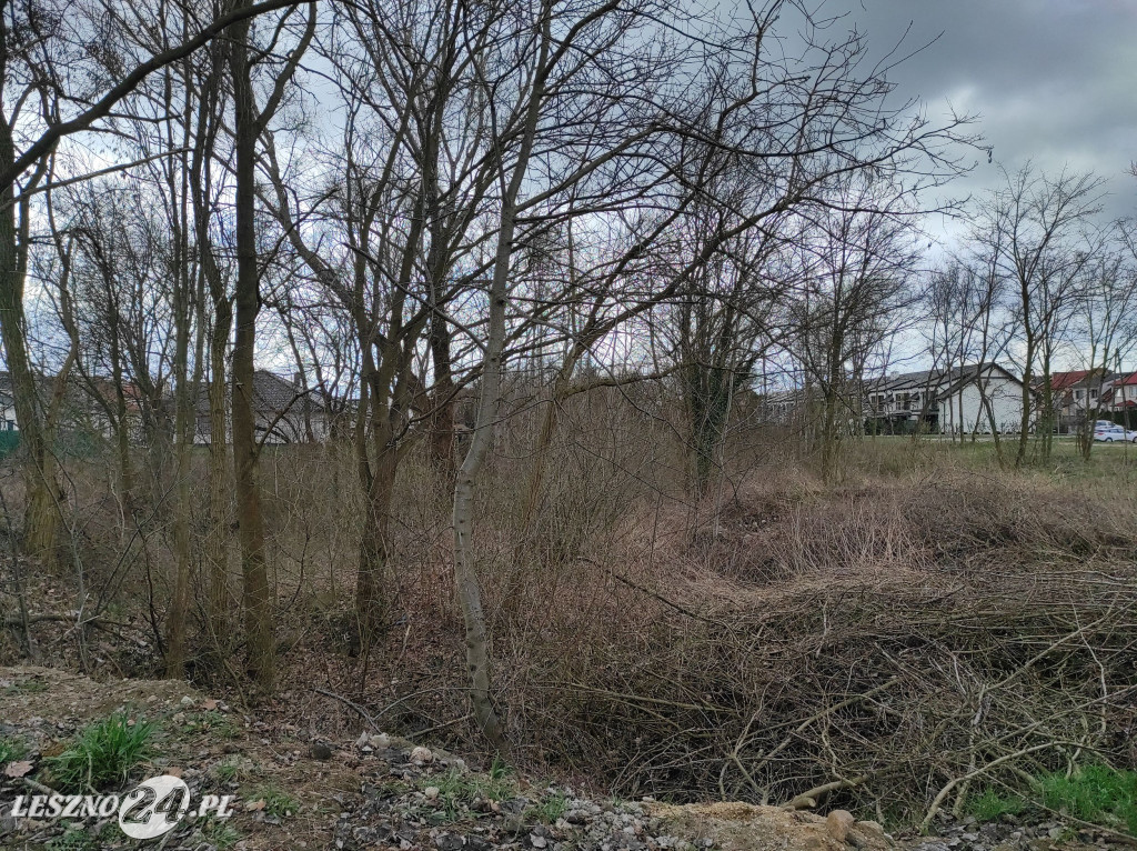 Porządki na osiedlu Młyńska Góra