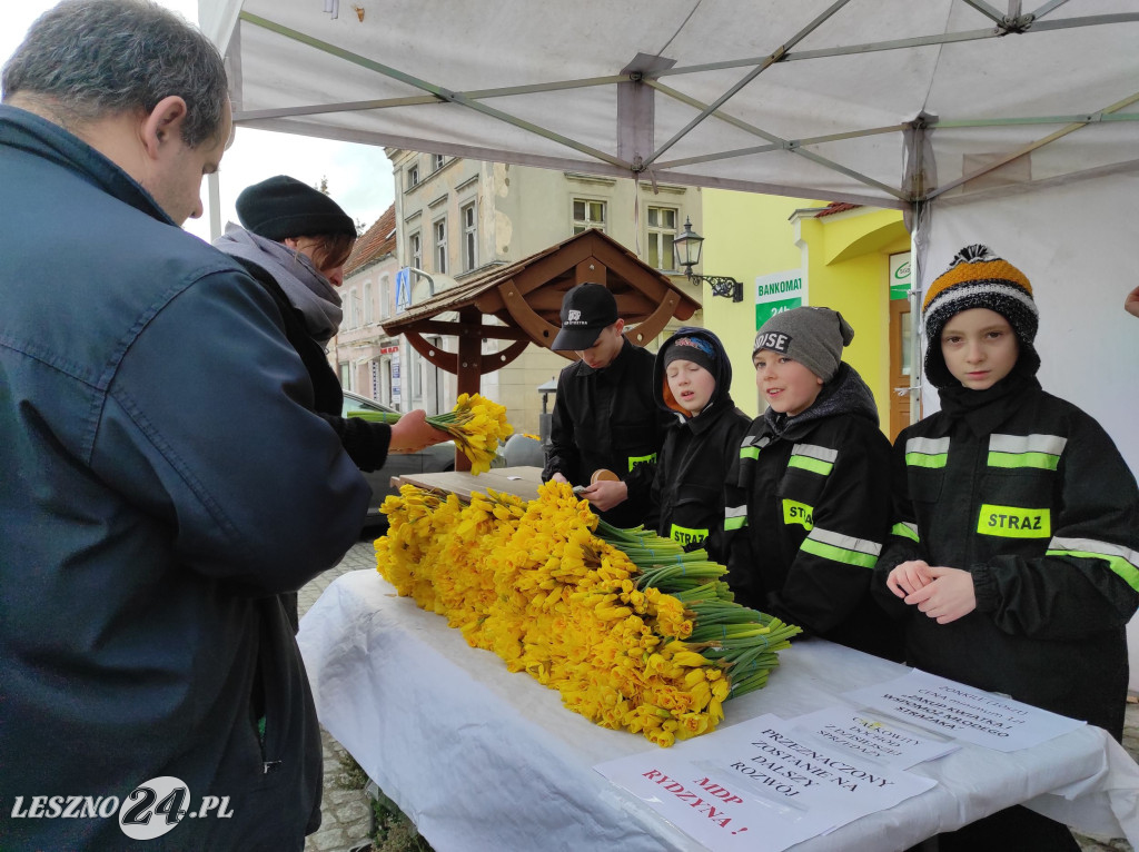 Rydzyna w wielkanocnej odsłonie