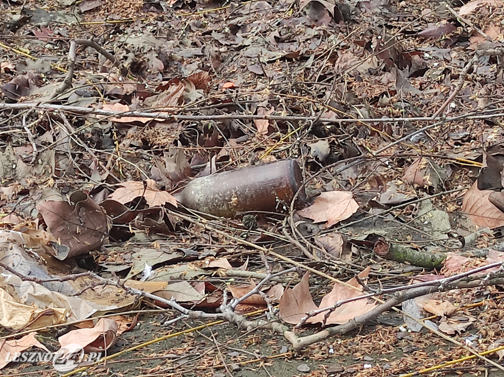 Spuszczono wodę w parkowych stawach