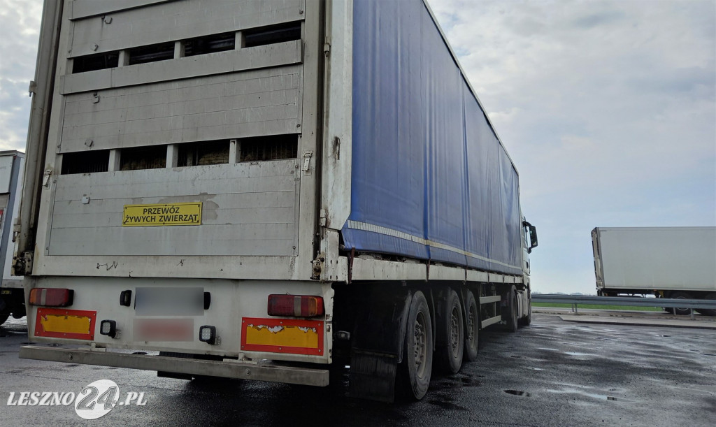 Zbyt ciężki tir z drobiem. Złapany dwa razy