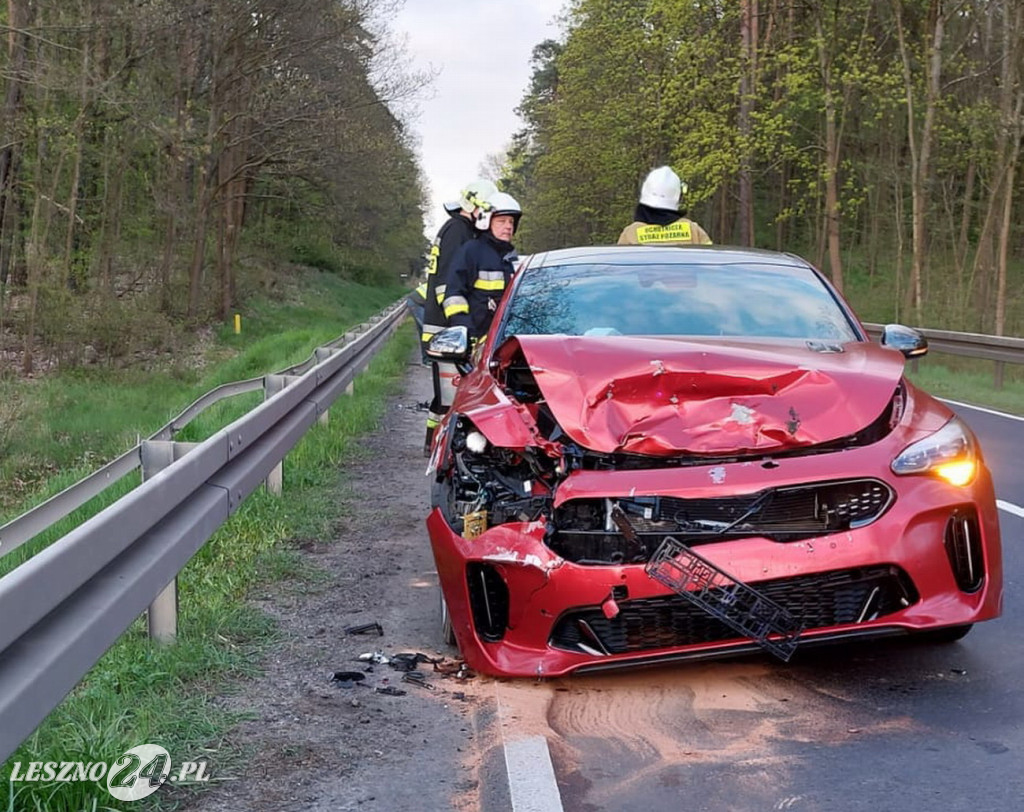 Zderzenie samochodu z leśną zwierzyną