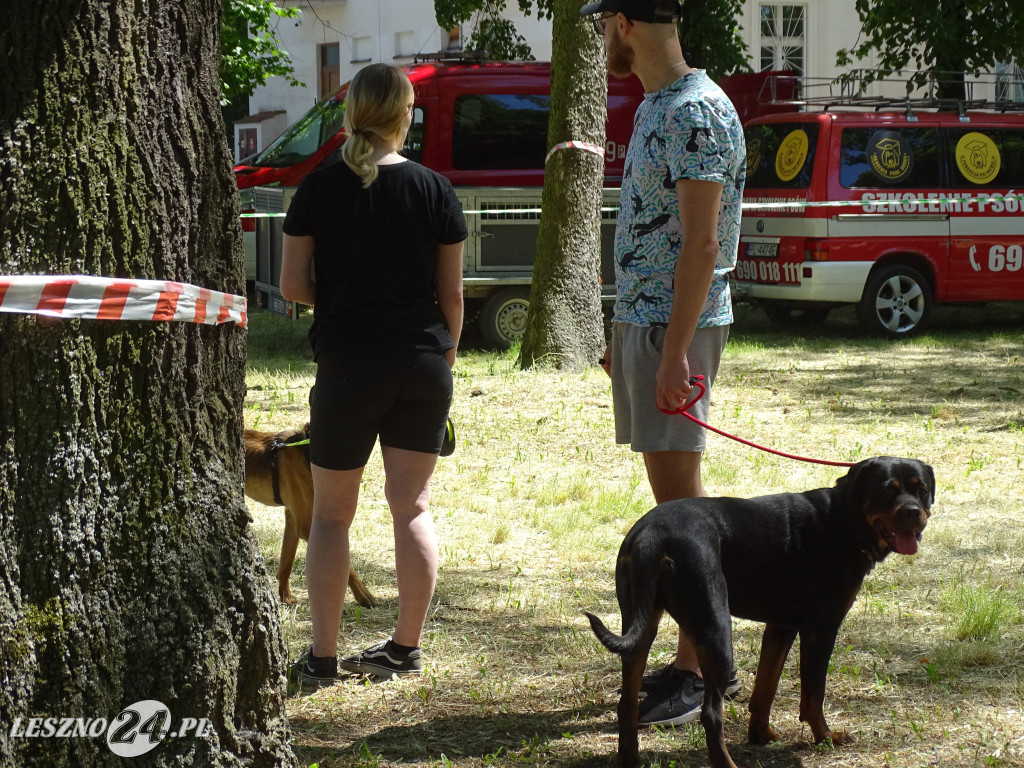 Festyn Pomagamy Zwierzętom w Lesznie