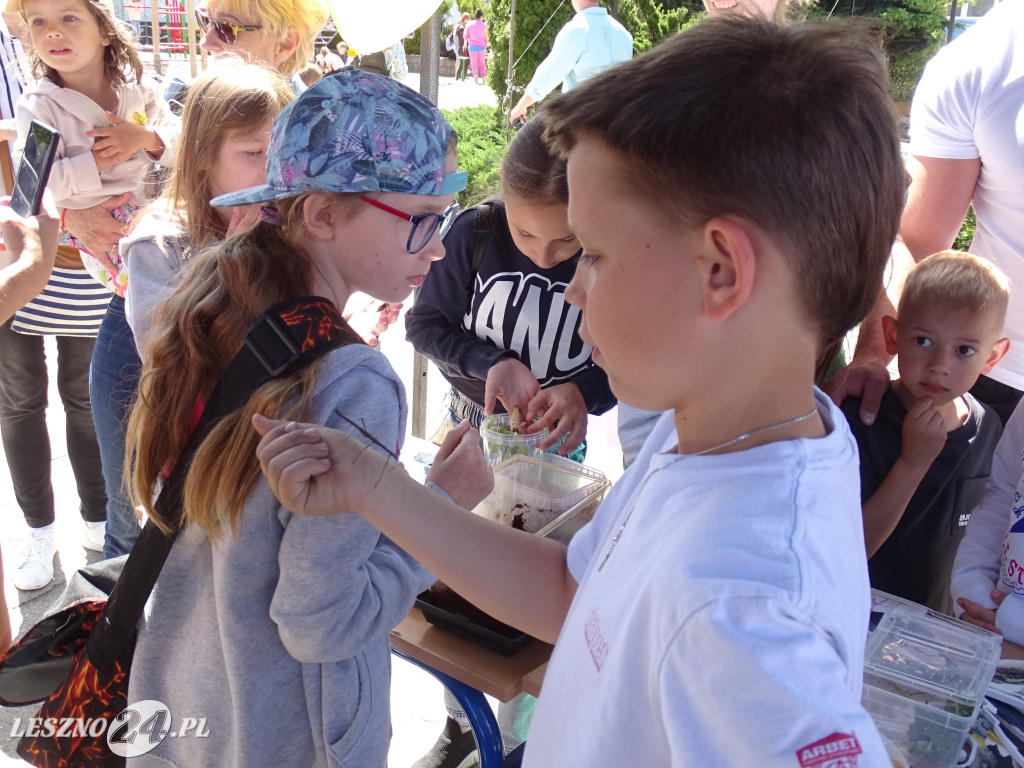 Rodzinny Piknik Naukowy w SP 9 w Lesznie