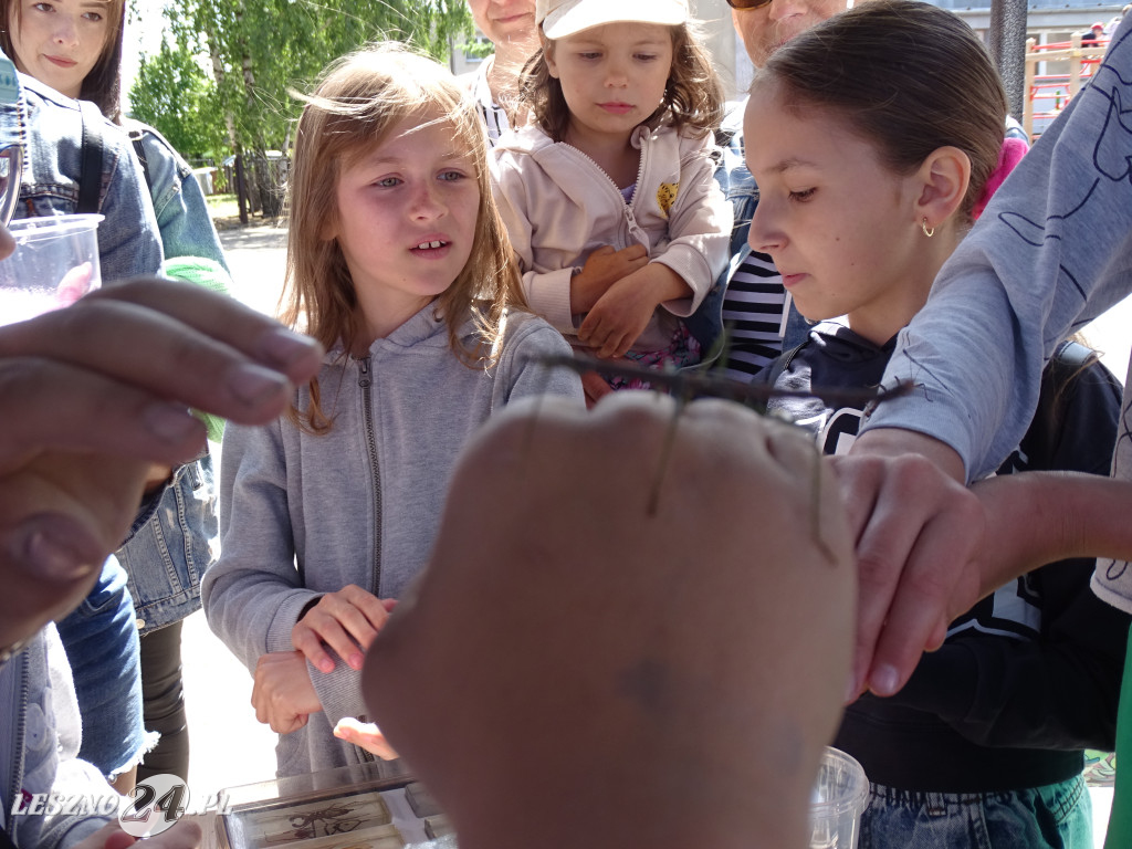Rodzinny Piknik Naukowy w SP 9 w Lesznie