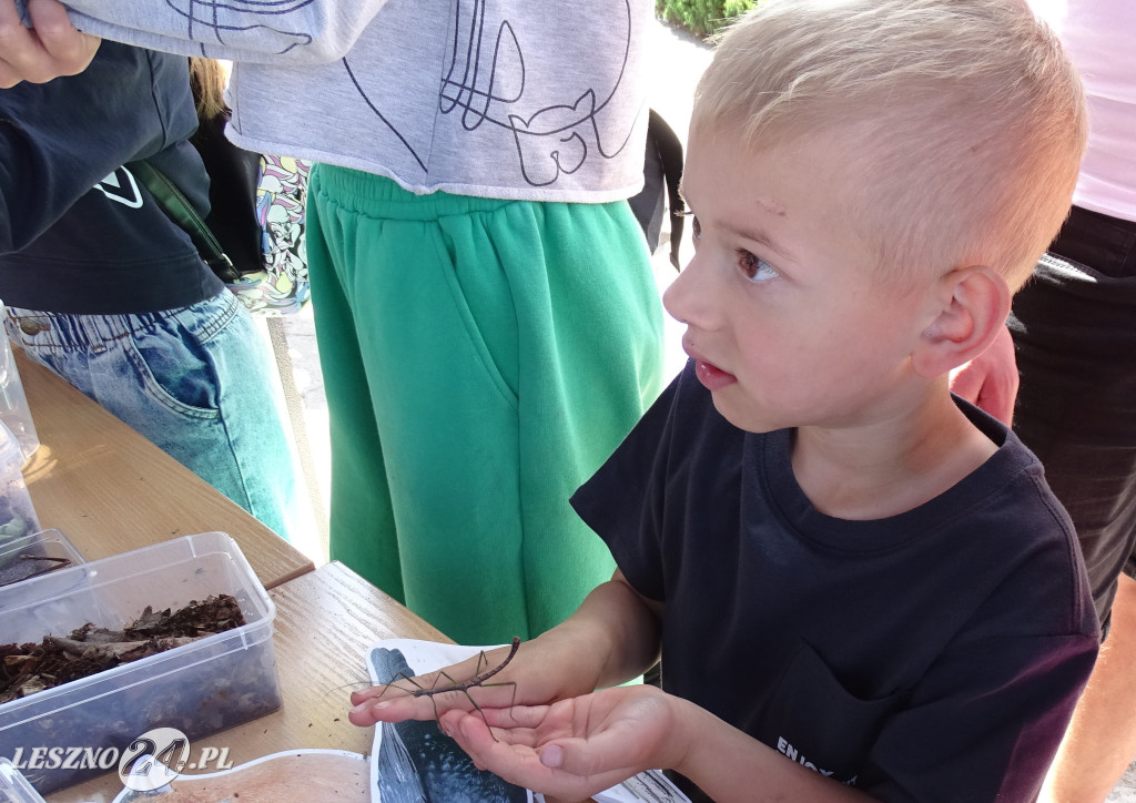 Rodzinny Piknik Naukowy w SP 9 w Lesznie