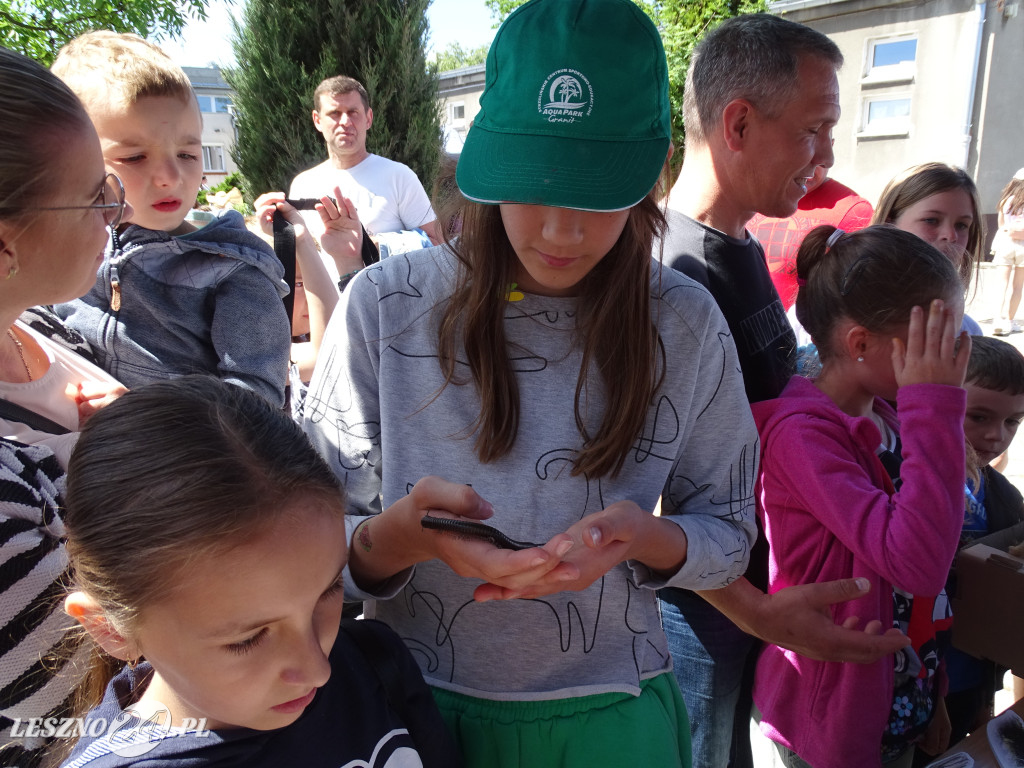 Rodzinny Piknik Naukowy w SP 9 w Lesznie