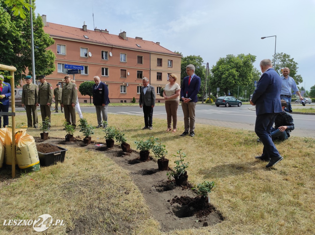 Skwer, tablica i róże dla A. Piłsudskiej