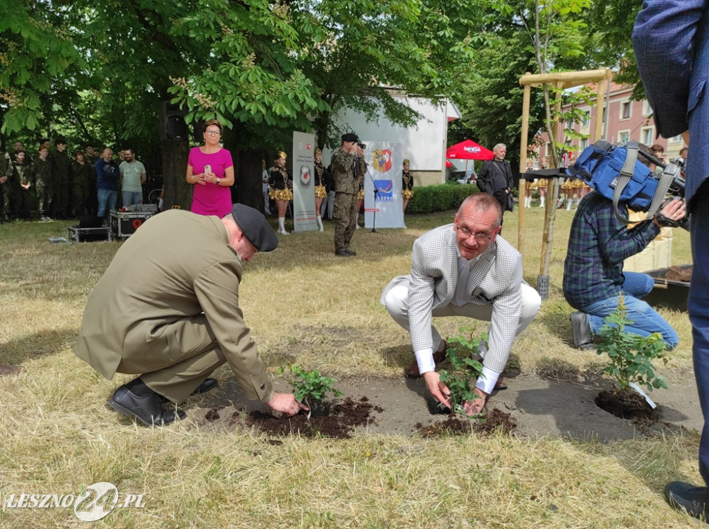 Skwer, tablica i róże dla A. Piłsudskiej