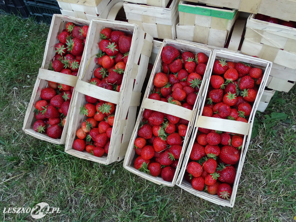 Śniadanie Farmera Wilkowice 2023
