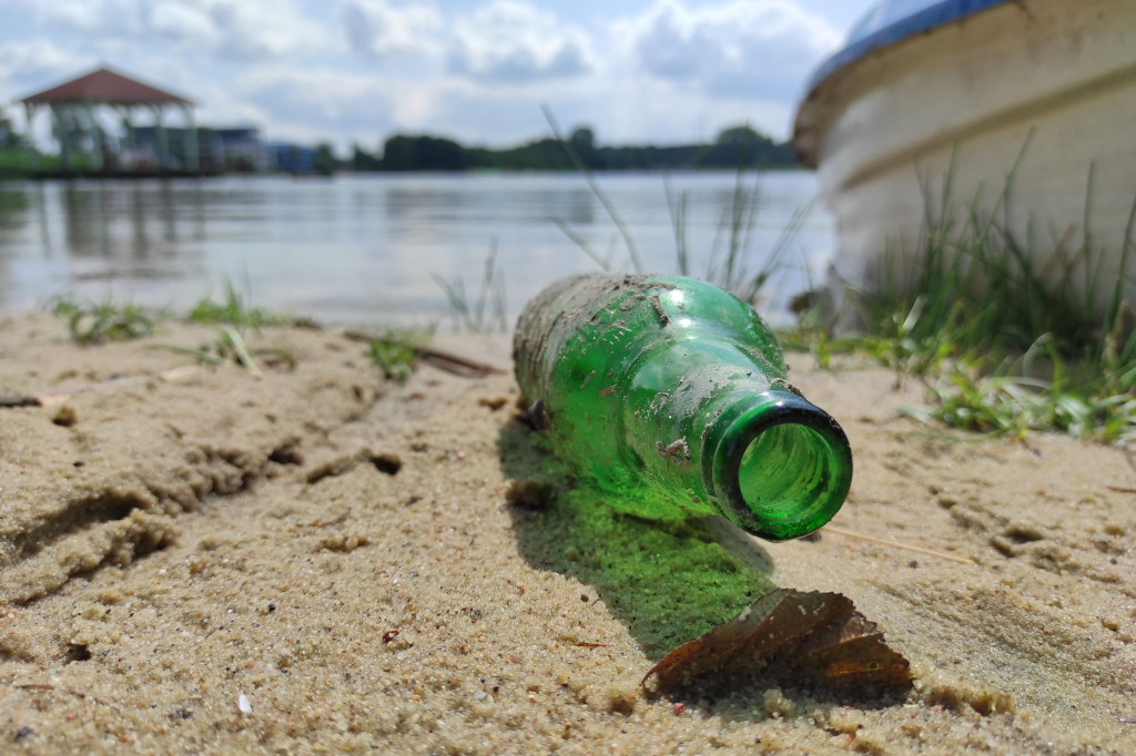 Czyszczenie Jeziora Dominickiego