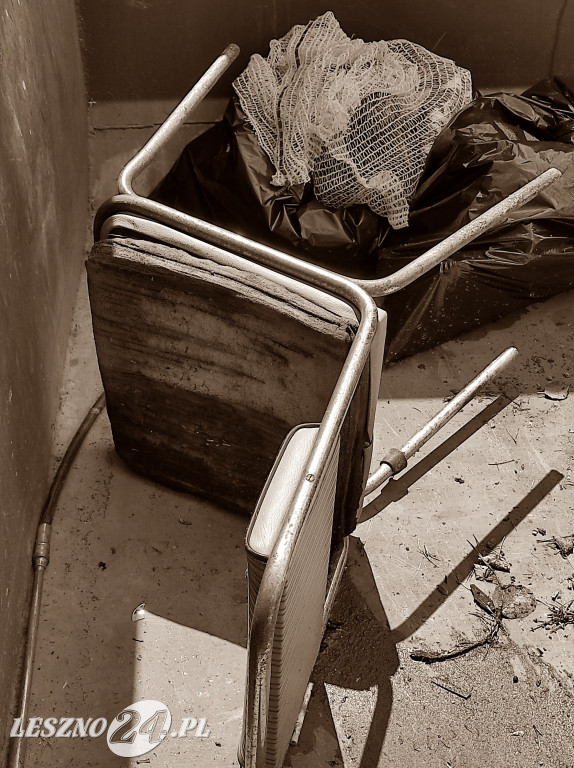 Czyszczenie Jeziora Dominickiego