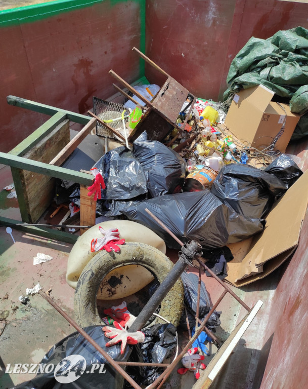 Czyszczenie Jeziora Dominickiego