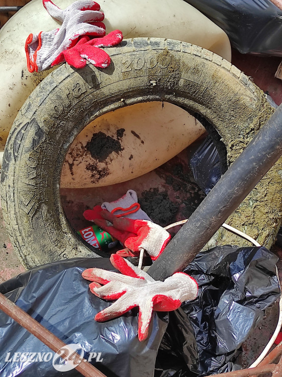 Czyszczenie Jeziora Dominickiego