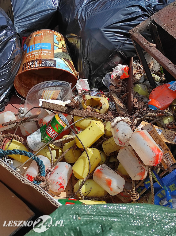 Czyszczenie Jeziora Dominickiego