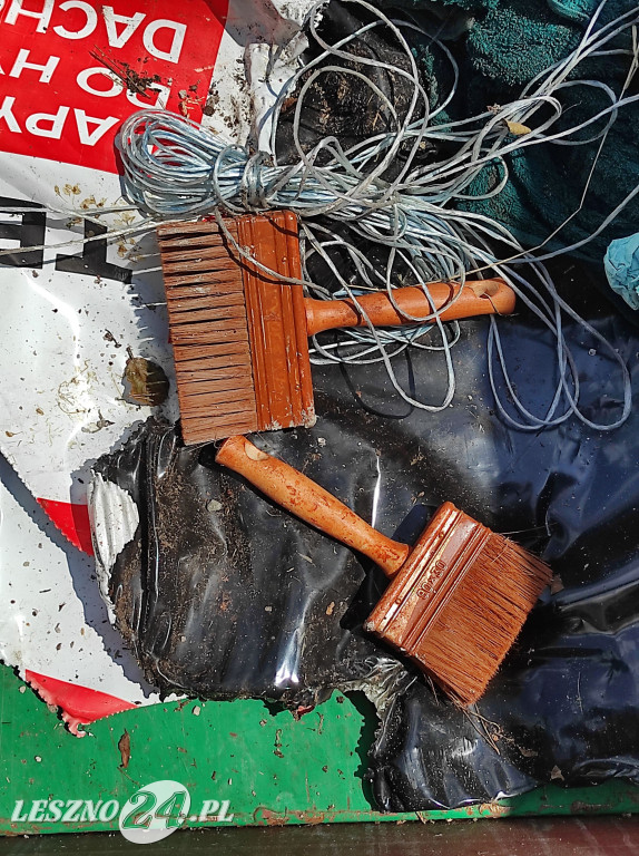 Czyszczenie Jeziora Dominickiego