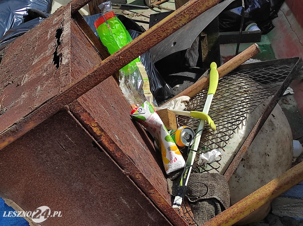 Czyszczenie Jeziora Dominickiego