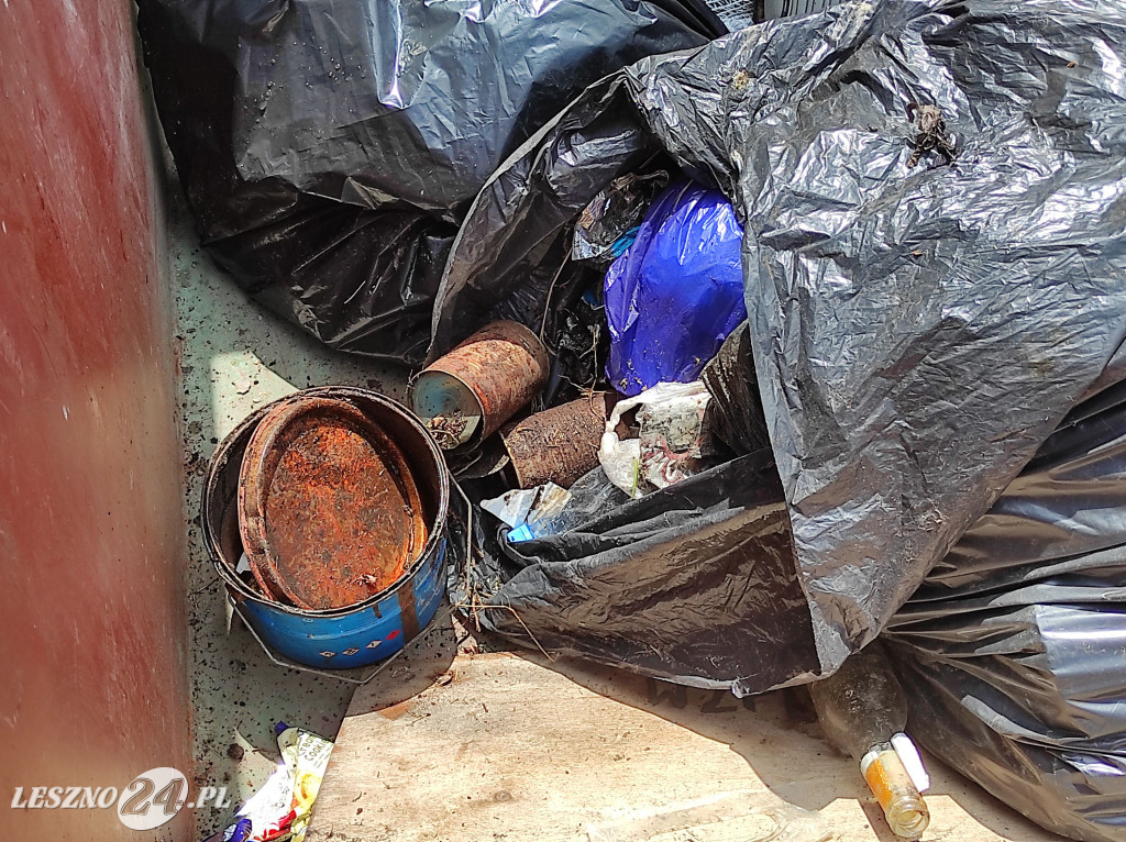 Czyszczenie Jeziora Dominickiego