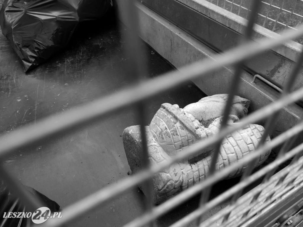 Czyszczenie Jeziora Dominickiego