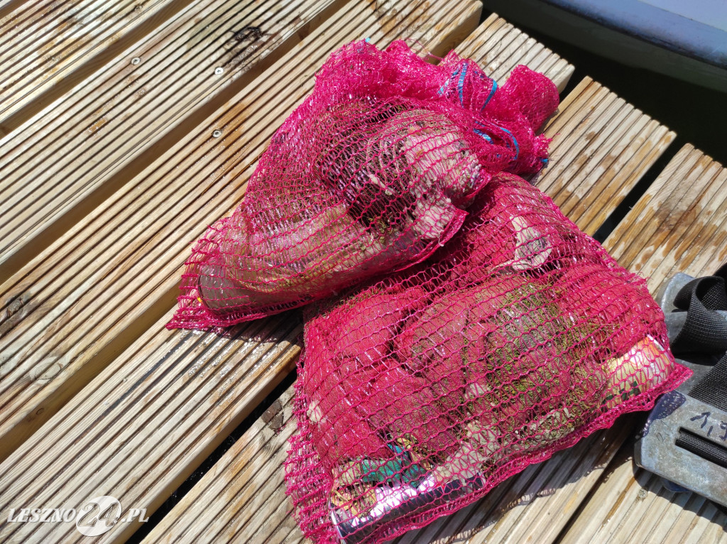 Czyszczenie Jeziora Dominickiego