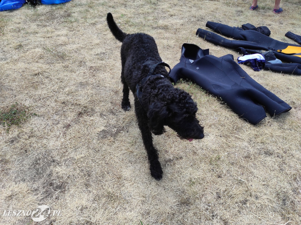 Czyszczenie Jeziora Dominickiego