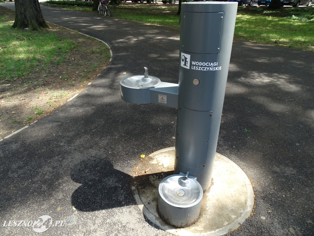 Rynki Śniadaniowe w Lesznie