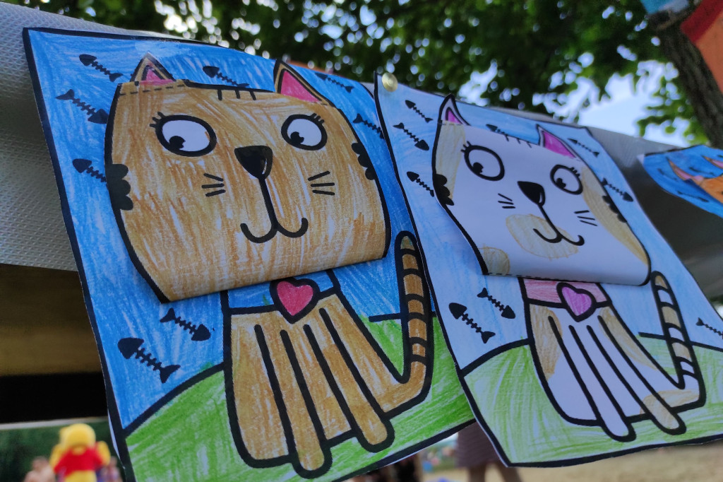 Festyn Boszkowskich Kotów i Psów