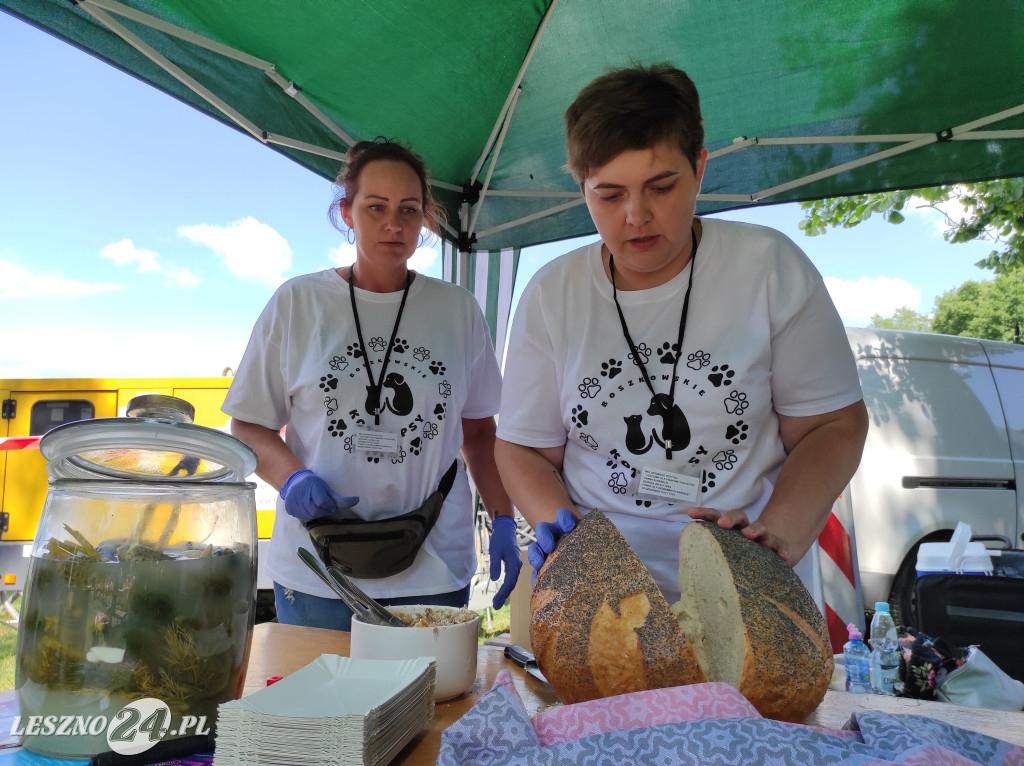 Festyn Boszkowskich Kotów i Psów