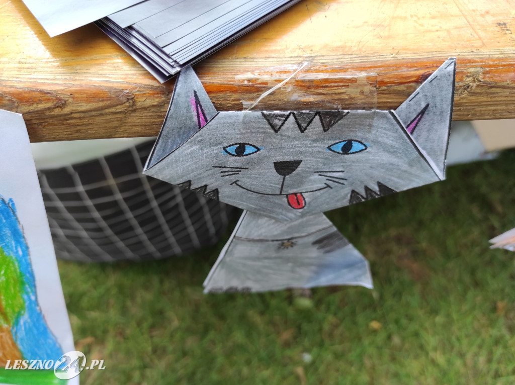 Festyn Boszkowskich Kotów i Psów