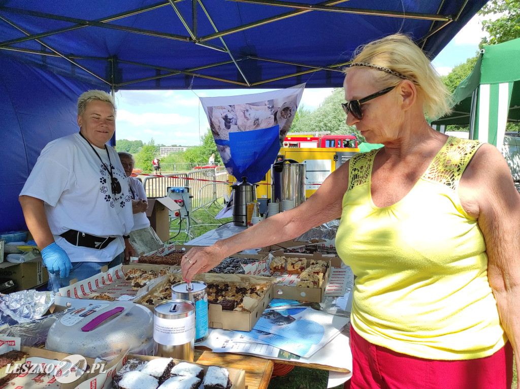 Festyn Boszkowskich Kotów i Psów