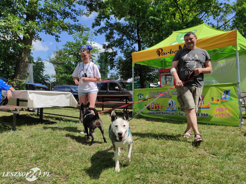 Festyn Boszkowskich Kotów i Psów