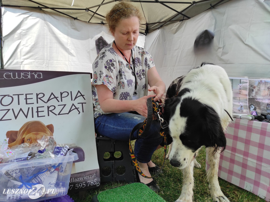 Festyn Boszkowskich Kotów i Psów