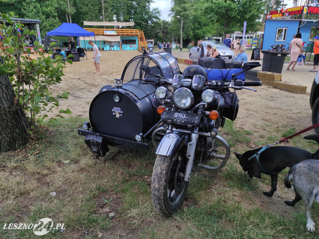Festyn Boszkowskich Kotów i Psów