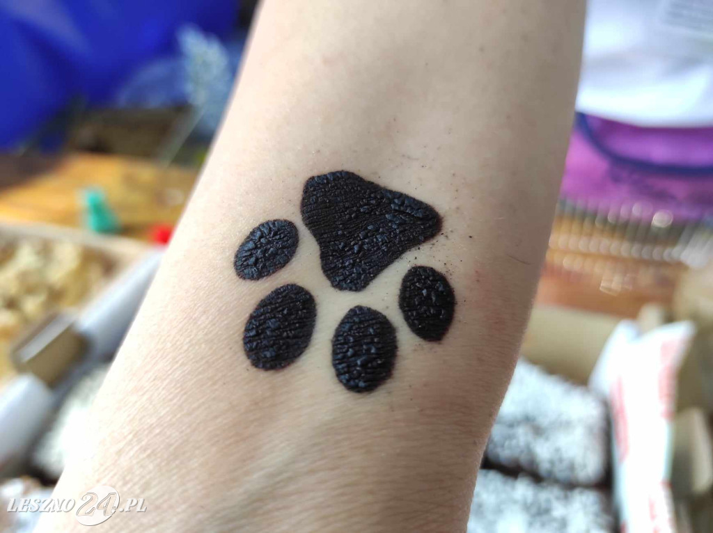 Festyn Boszkowskich Kotów i Psów