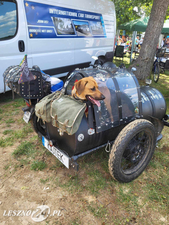 Festyn Boszkowskich Kotów i Psów