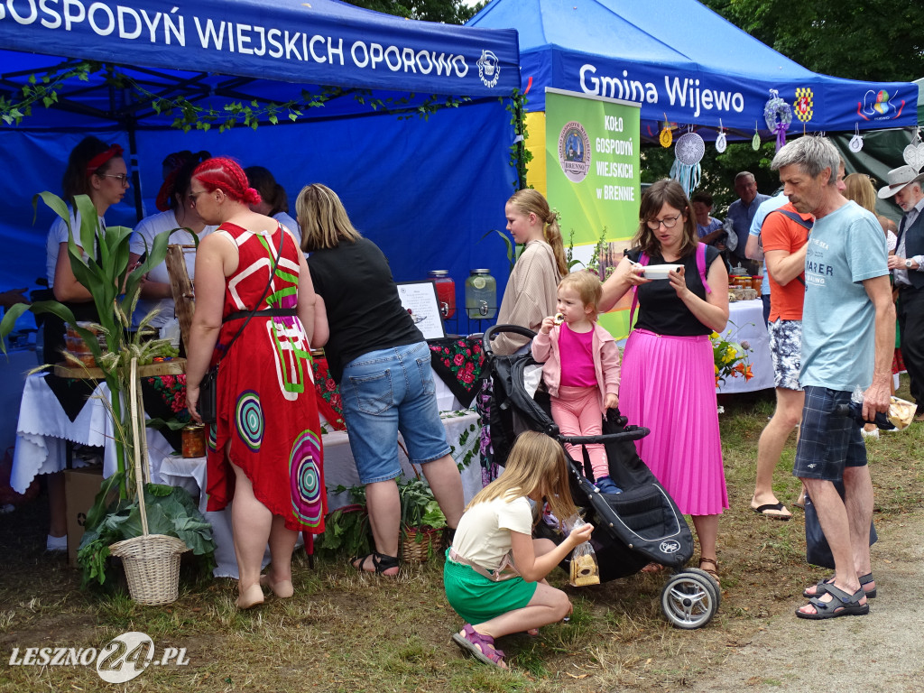 Kulinarny festyn w Rydzynie