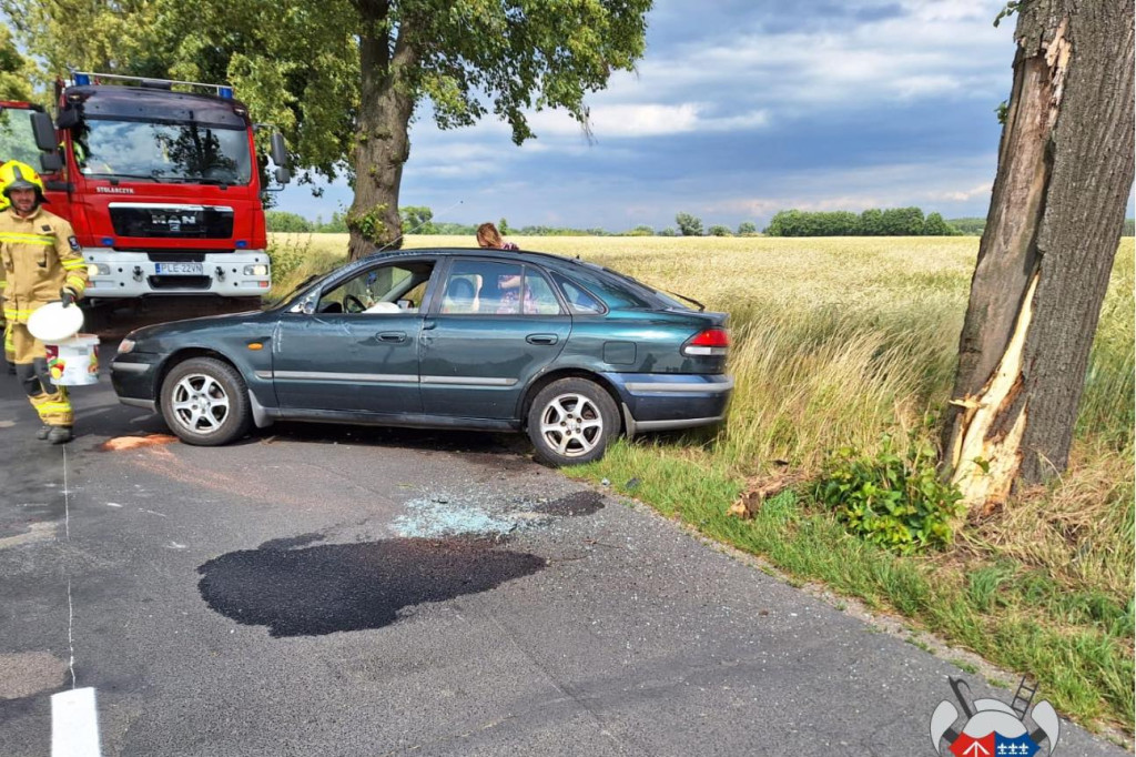 Kraksa w Lesznie i zderzenie z drzewem
