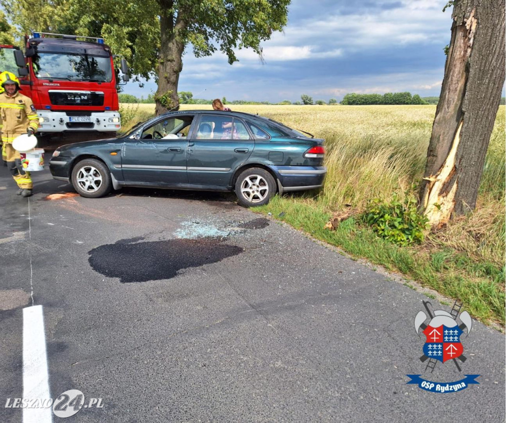 Kraksa w Lesznie i zderzenie z drzewem