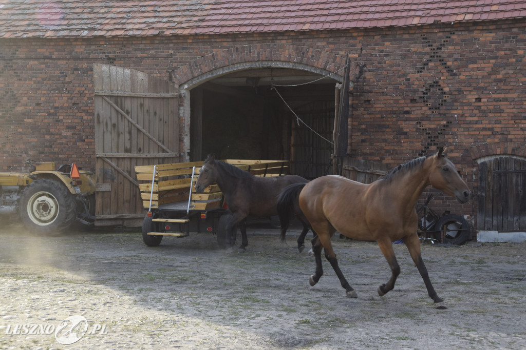 Potężna helka uatrakcyjni wilkowicką turystykę